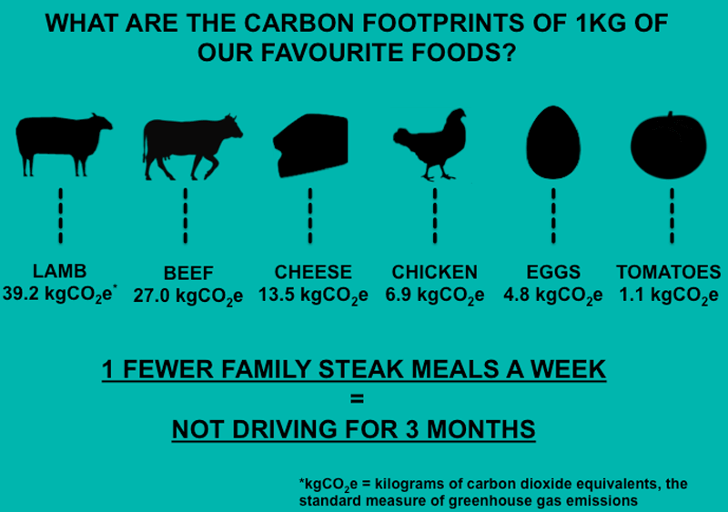marcas-dietas-eco-responsables-cambio-climatico