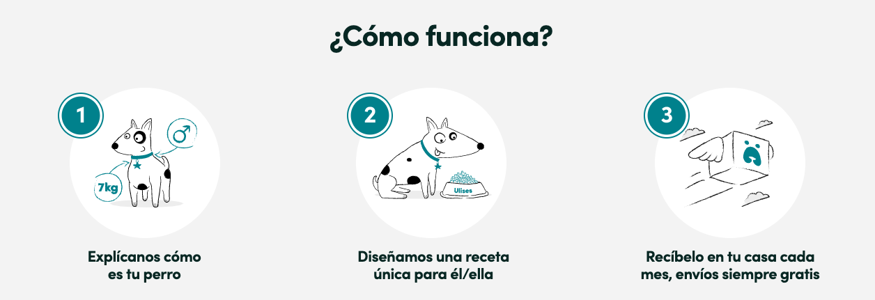 Happets Summa Branding