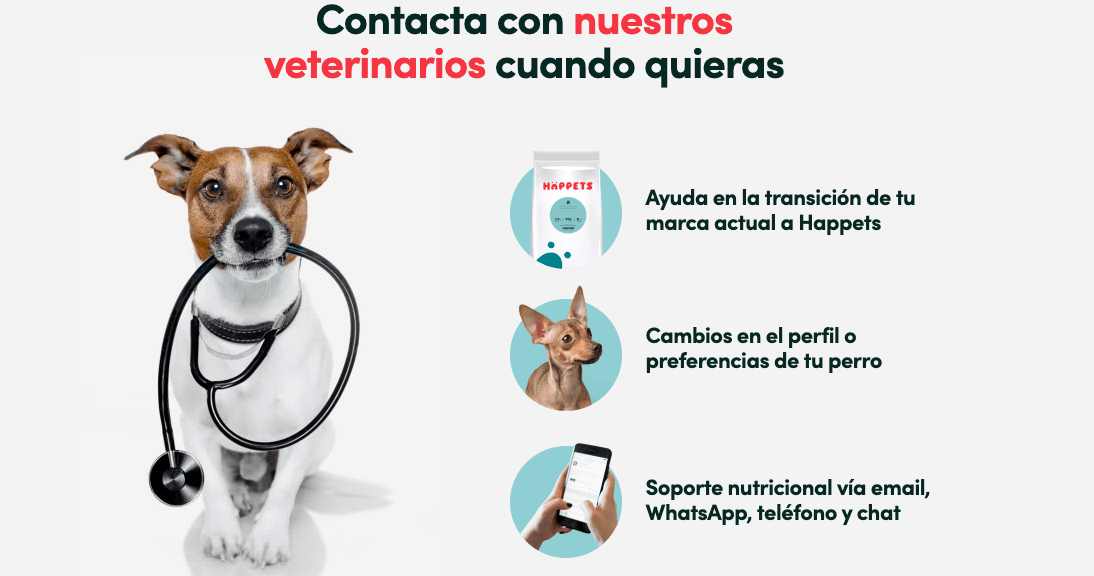 Happets Summa Branding